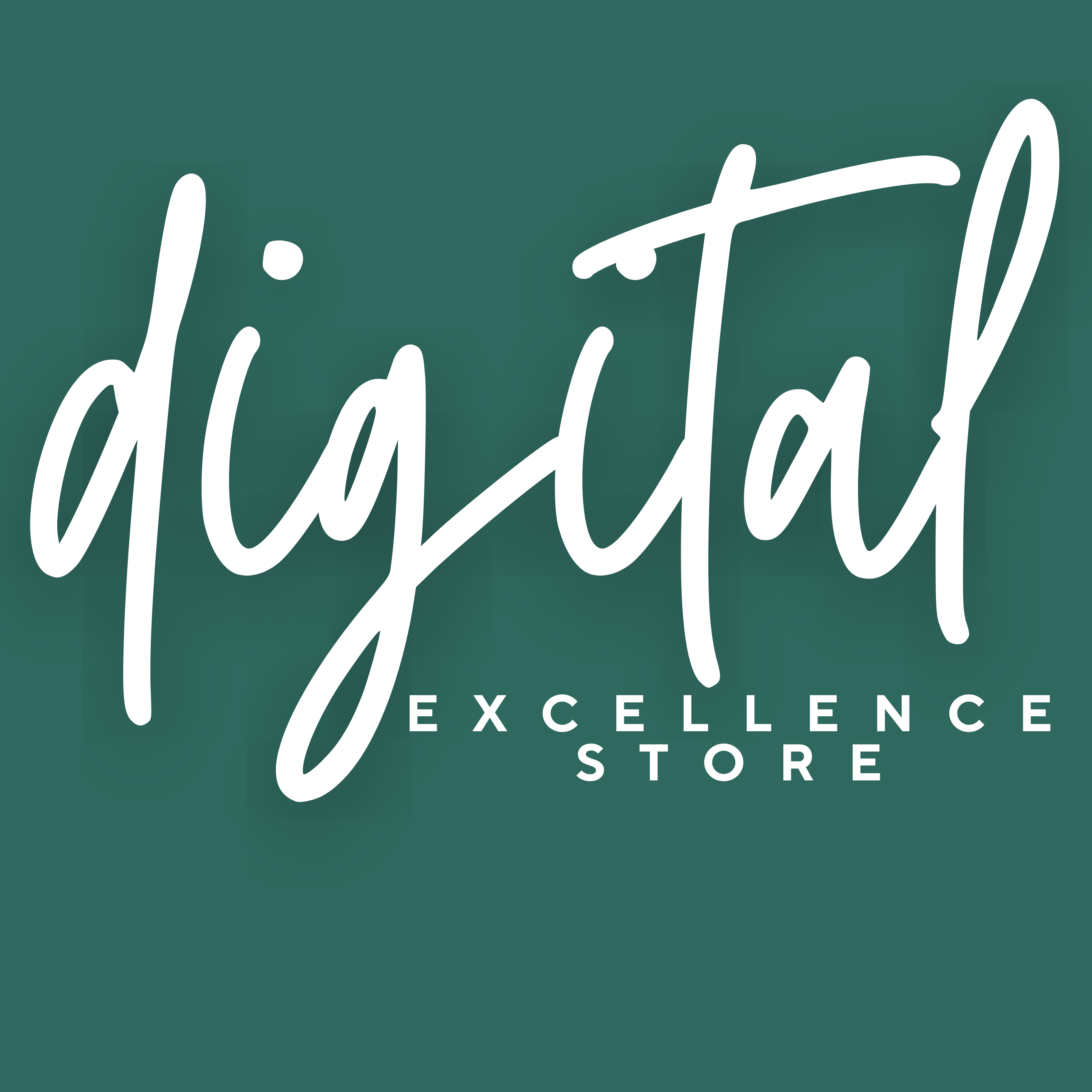 Digital Excellence Store